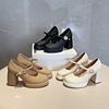 European and American evening breeze Mary Jane high heels women's versatile thick heel skirt spring 2025 new small leather shoes single shoes