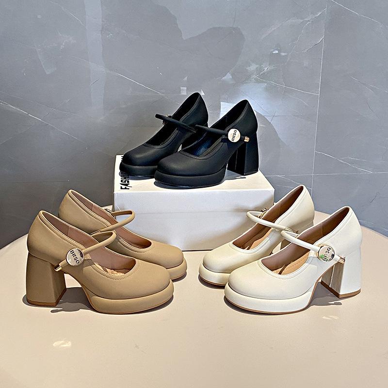 European and American evening breeze Mary Jane high heels women's versatile thick heel skirt spring 2025 new small leather shoes single shoes