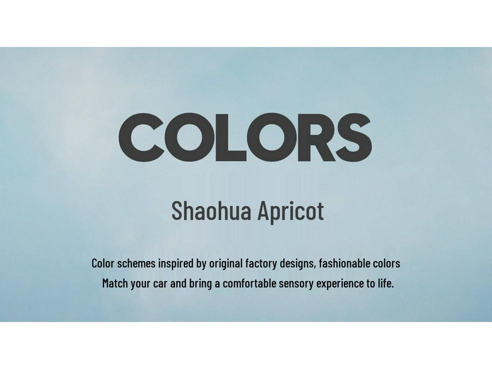 2025 Geely Xingyue L Leather Seat Covers: All-Season, Full Coverage for 5-Seater Cars