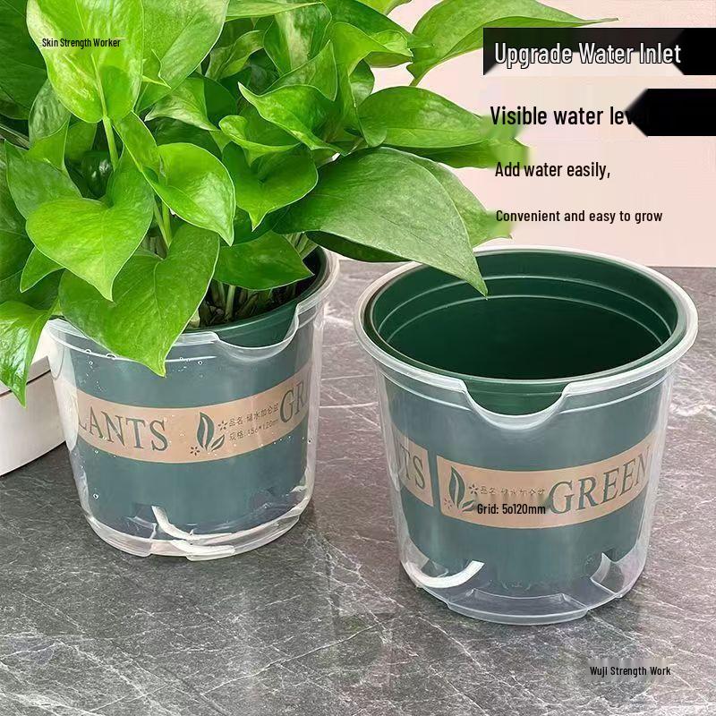Pothos Indoor Self-Watering Planter with Double-Layer Design and Transparent Reservoir
