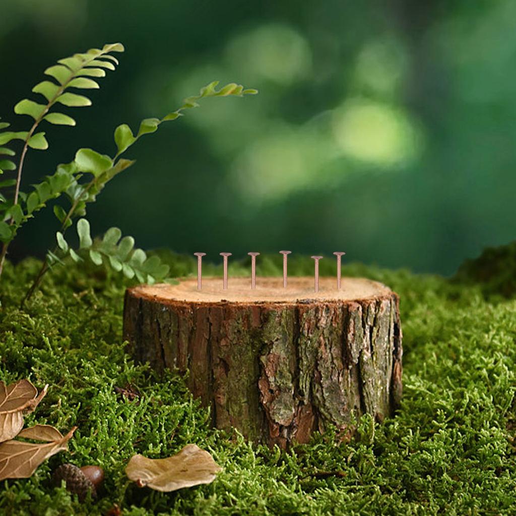 65/75mm Kupfernägel Zum Töten von Bäumen Baumstumpf Wurzel Stumpfentfernung Spikes Beschläge Zum Töten von Bäumen Baumstumpf Wurzel Beschläge Bäume
