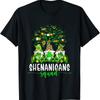 NEW LIMITED St Patricks Day 2023 Shamrock Irish Shenanigans Squad T Shirt S 3XL