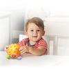 Jouet pour bébé - vtech - hérisson boule - chansons et sensations - 3 mois et plus - éducatif