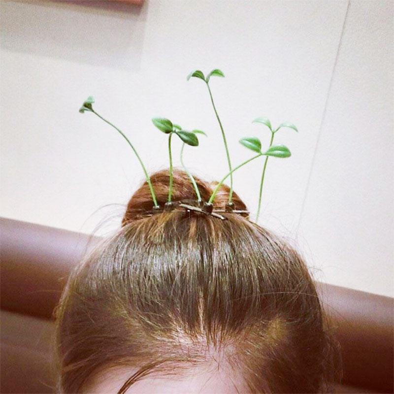 Stylish and Unique Women's Hair Clips Grass/Daisy-Style Hair Clips Cute and Funny Hair Clips