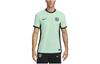 Nike Soccer Jerseys Men's Light Green Moderate Straight Fit DX9755-354