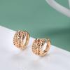 Stylish rose gold earrings, simple and personalized hollow flower earrings, ear buckles, accessories