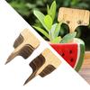 50Pcs Wooden Plant Labels Garden Markers Plant Sign Tags Garden Accessories Flowers Markers for Vegetables Herbs Potted Flowers