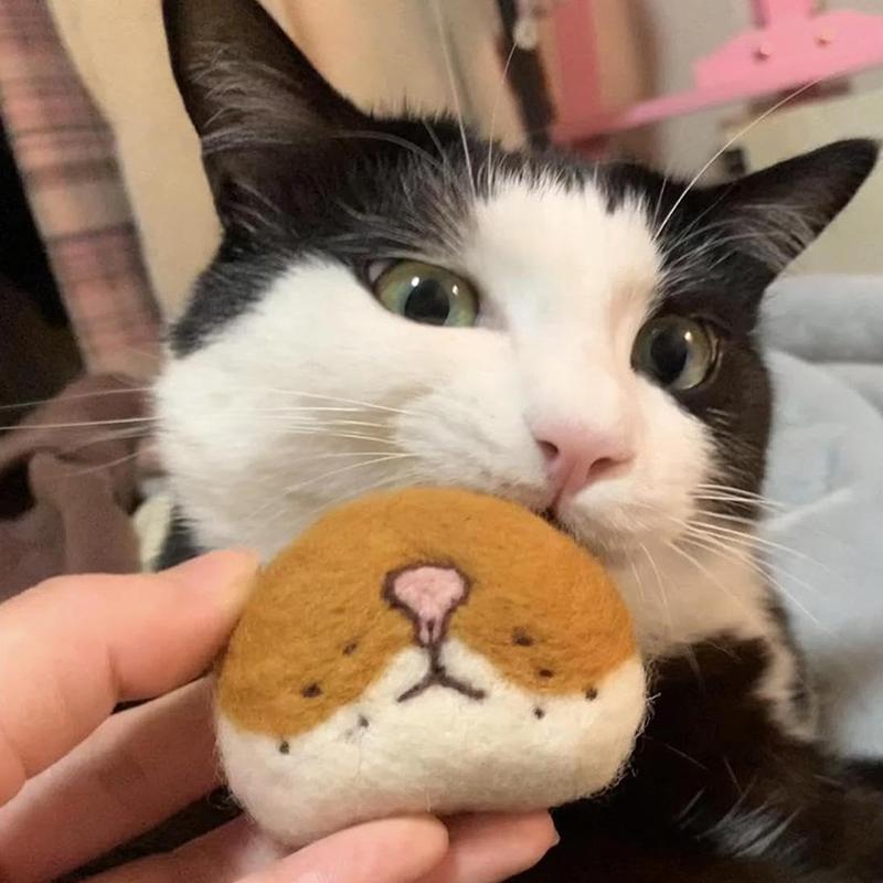 Cat Whisker Storage Felt Refrigerator Magnets Cat Whiskers Collection Cat Vibrissae Keepsake Pets Souvenir Gift Home Decor