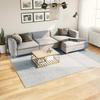 VidaXL Soft and Washable Short Pile Rug, Floor Carpet, Area Rug, Living Room Carpet, 375138