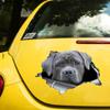 S60419# Gray Cane Corso Dog Sticker On The Car Vinyl Decal Waterproof Decoration Car Stickers