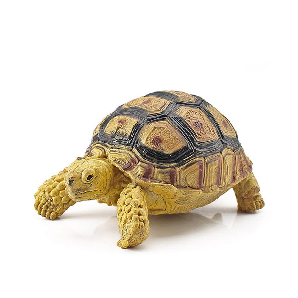 Realistic Turtle Action Figure Lifelike Amphibian Reptile Model Ornaments For Children Gifts Home Decoration