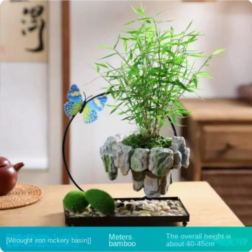 Facai Tree Nantianzhu Mizhu Bryophyte Green Plants Potted In the Living Room Office Small Leaf Rosewood Potted Landscape