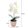 Artificial Orchid Orange-red White White Plus Rose