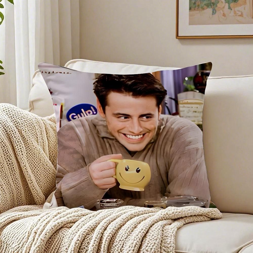 

JJoey TribbianiCool Character Fleece Cushion Cover Pillowcase Antidustmite living Room Sofa Decor Cushion Room 30X30cm