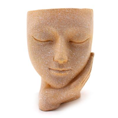 Face Flower Pot Ornament Innovative Resin Succulent Potted Desktop Plants Landscape Decorations