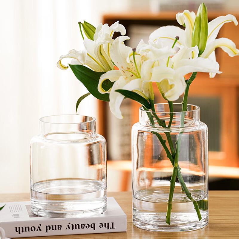 Elegant Glass Flower Vases for Home Decor