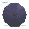 Sombrilla Paraíso 10 Varillas A Prueba de Viento Paraguas Plegable Grande