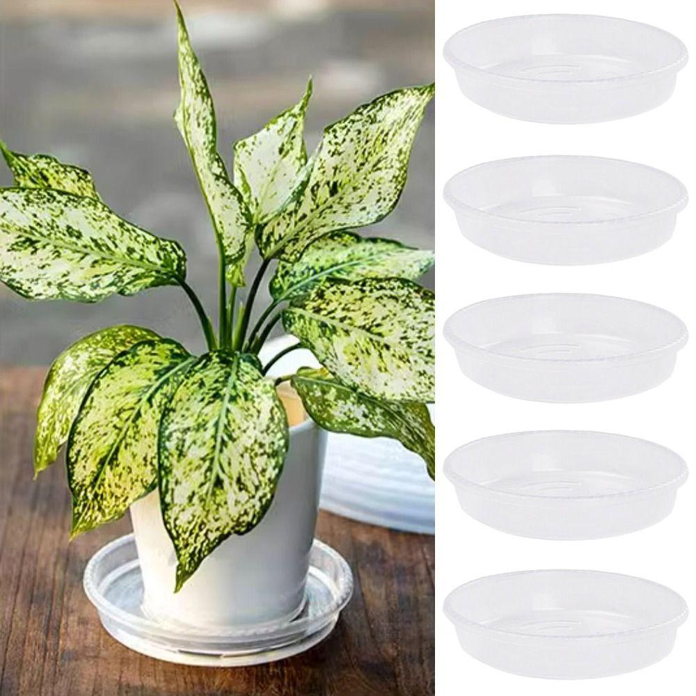 10pcs Round Flower Pot Tray Clear Drip Tray New Plant Saucer  Home