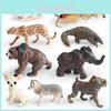 Wölfe Leoparden Wildtiere PVC Tiermodell mit realistischem Design zum pädagogischen Spielen und Sammeln