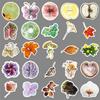 50 Plant Specimen Doodle Stickers: Creative Waterproof Floral Decoration for Phone Cases & Journals
