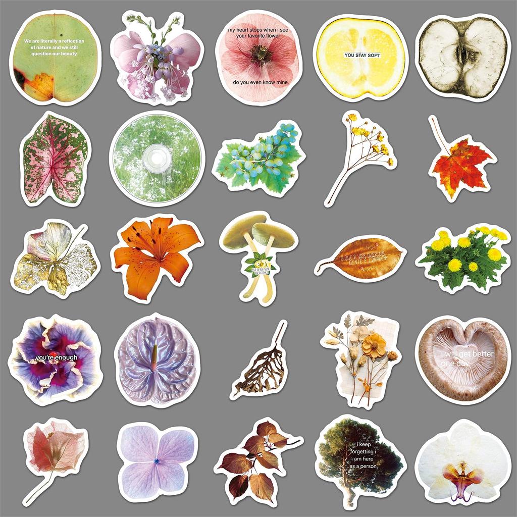 50 Plant Specimen Doodle Stickers: Creative Waterproof Floral Decoration for Phone Cases & Journals
