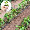 120Pcs Hydroponic Garden Accessories Pod Kit Reusable Plant Pod Kit Clear Hydroponic Grow System Seed Pod Kits Home Dropshipping