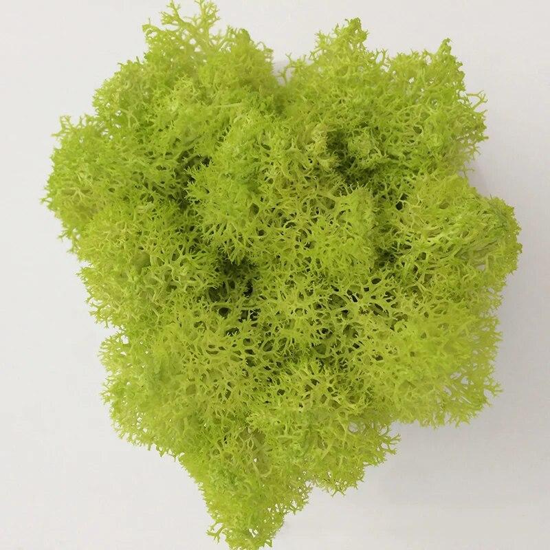 Handmade Artificial Plants Preserved Moss Simulation Fake Plant Garden Decor Landscape Wall Decor Home Decoration Accessories Gifts