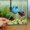 Long Pole Teasing Fish Stick Fish Shaped Colorful Simulation Betta Stick Resin Fish Interactive Plaything Fish Tanks Accessories
