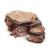 Creative Resin Hideout Cave for Reptiles Perfect for Turtles Snakes and Frogs Enhances Terrarium Environments