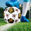 1PC Eagle Eye Symbol Lion Power Soccer Ball Size 5 Football Machine Sewn Indoor/Outdoor Universal Football Surprise Collection N63