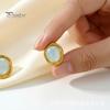 Transparent Resin Earrings 1 Pair Gemstone Stud for Women, Gold Plated Round Natural Modern Jewelry Gifts Healing Stone Earrings, Stainless Steel Flat