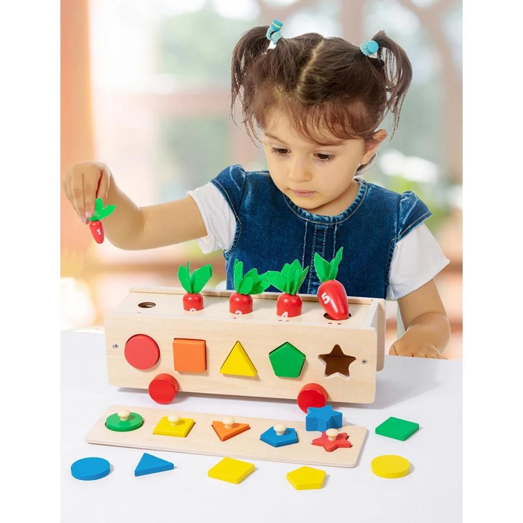Baby Wooden Montessori Box Sensory Toys Color Shape Sorting Matching Games Winder Object Permanence Activities Educational Toys