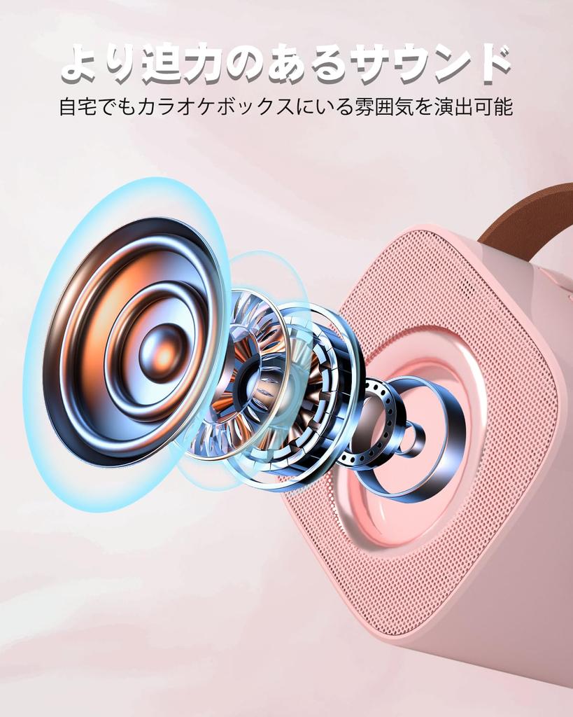 Verkstar Karaoke 2 Bluetooth Wireless PA Stereo Home Karaoke Small Home Mini Kompatibel mit Japanisch Bedienungsanleitung Inklusive Mikrofon,