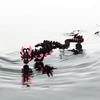 Chinese Dragon 3D Printed Dragon 3D Articulated Dragon Toys  Landscaping Decoration