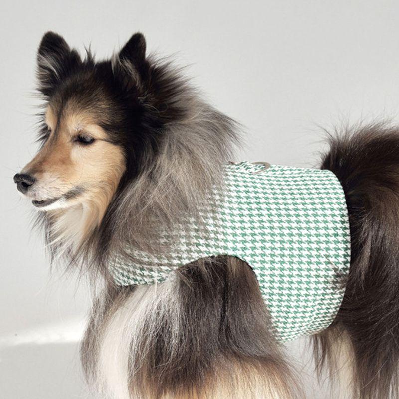 CROOKTHECHIHUAHUA Hound Pattern Harness - GREEN