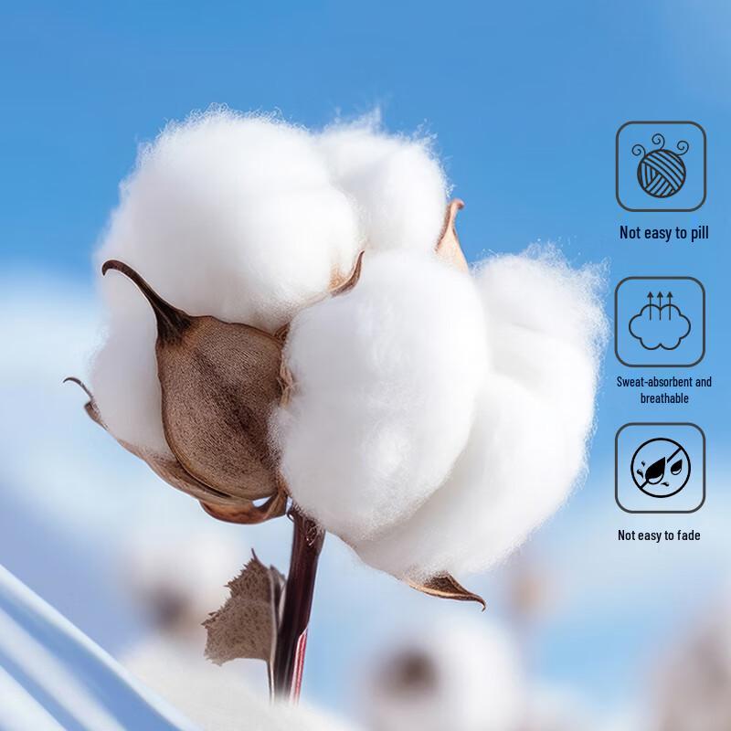 ROMON Men's 7A Antibacterial Pure Cotton Underwear for Middle-Aged & Elderly