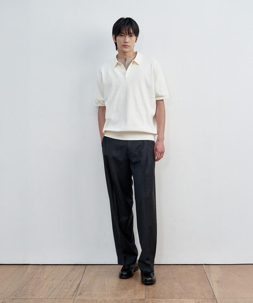 SIECLE Striped One-Pleat Wide Trousers (Charcoal Gray)
