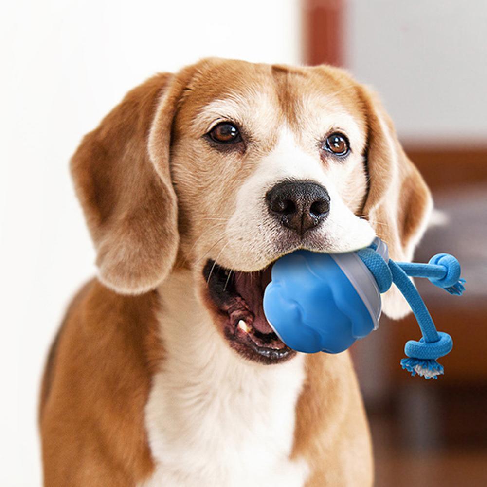 Electric Dog Ball Toys Automatic Rolling Ball with Rope Rechargeable Interactive Dog Toys Squeaky Dog Toy for Medium Small Dogs