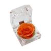 Romantic Ring Box Handmade Plastic Nice-looking Forever Rose Jewelry Box for Anniversary