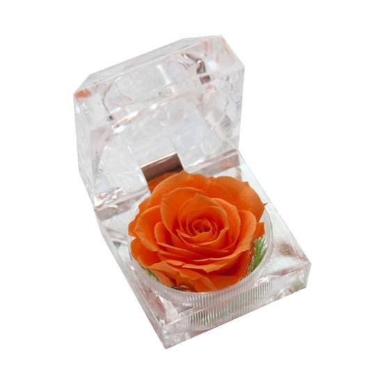 Romantic Ring Box Handmade Plastic Nice-looking Forever Rose Jewelry Box for Anniversary
