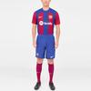Nike Barcelona 23/24 Season Home Player Edition Logo Print Solid Color Elastic Shorts Men Shorts Blue DX2627-455