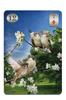Lenormand Cards, 36 cards, for fortune-telling [Official Import] [Thelema Lenormand Oracle Cards] with Japanese instruction sheet, "Beautiful Digital