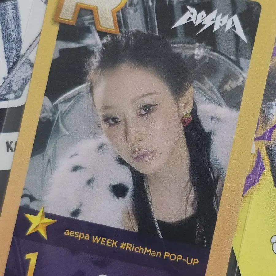 

aespa Richman Shoesm Лимитированная фотокарточка Жизель