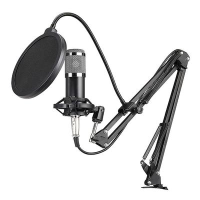 Accesorios para audio y video – Micrófonos