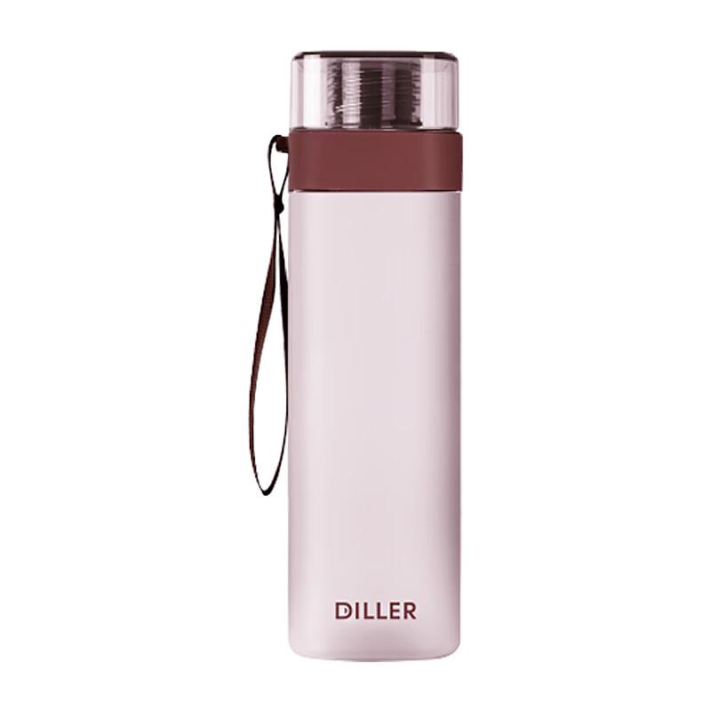 Dileber Frosted Stainless Steel Water Bottle