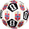 1pc Norwegian Crest Size 5 Soccer Ball Professional Match Training Football Indoor &Outdoor Sports Ball Club Training Ball Lightweight Durable y24