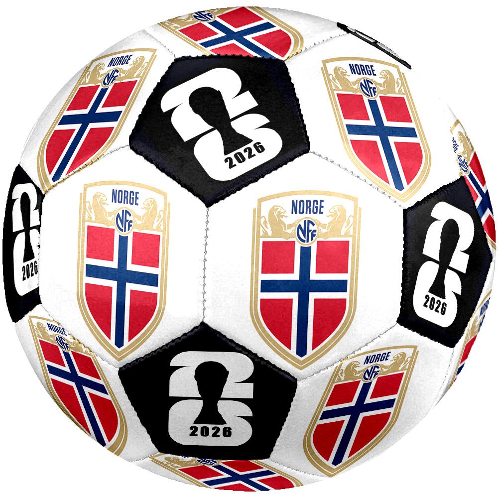 1pc Norwegian Crest Size 5 Soccer Ball Professional Match Training Football Indoor &Outdoor Sports Ball Club Training Ball Lightweight Durable y24