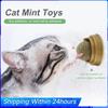 Healthy Licking Snacks Stick-on Molar Teeth Catnip Snack Ball Removes Hair Balls Promote Digestion with Dust Cover Pet Products