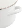 Bestco Enamel Casserole with Glass Induction and Gas Bran Pot, 22cm, Lid, Compatible, White, NQ-0254,