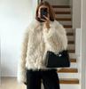 Autumn & Winter European and American Women's Faux Fur Street Fashion Coat